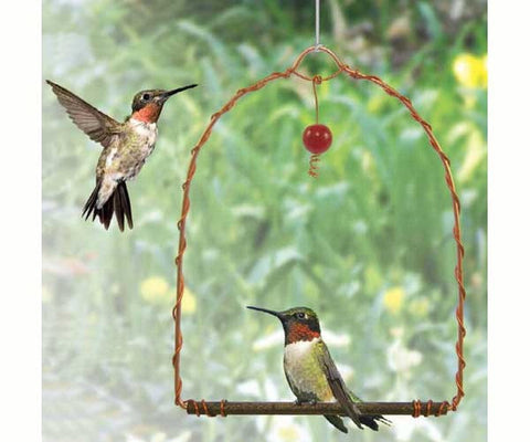 Humming Bird Swing